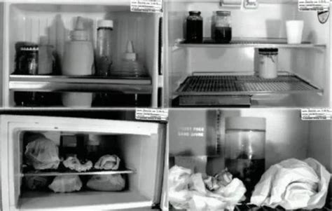 Monster The Jeffrey Dahmer Story. . Polaroid photos of jeffreys victims reddit